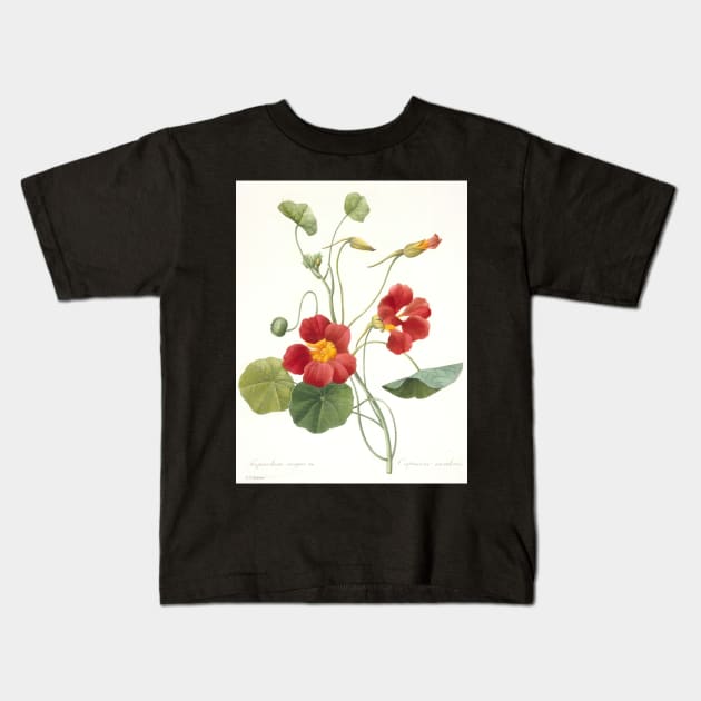 Tropaeolum majus (Garden Nasturtium) by Pierre-Joseph Redoute Kids T-Shirt by Classic Art Stall